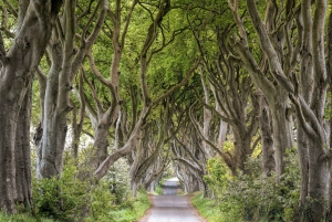 Dublin: Giants Causeway, Dark Hedges, Dunluce & Belfast Tour