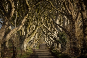 Dublin: Giant's Causeway, Dark Hedges & Titanic Guided Tour