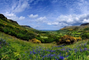 Dublin: Giant's Causeway, Dark Hedges & Titanic Guided Tour