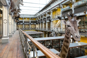 Dublin: Go City All-Inclusive Pass with 40+ Attractions