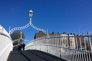 Dublin: Privat stadstur på tyska