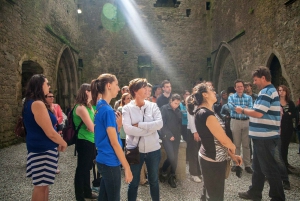 From Dublin: Blarney Castle Full-Day Tour