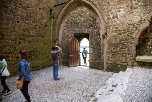 From Dublin: Blarney Castle Full-Day Tour