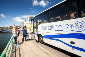 From Dublin: Blarney Castle Full-Day Tour
