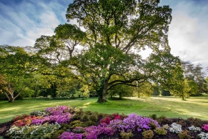 From Dublin: Blarney, Rock of Cashel and Cahir Castles Tour