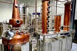 From Dublin: Celtic Boyne Valley and Ancient Sites Tour