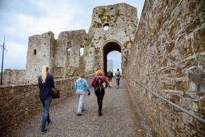 From Dublin: Celtic Boyne Valley Tour