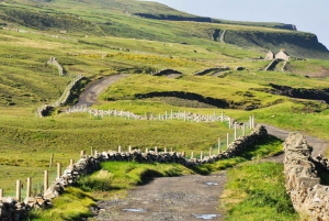 From Dublin: Cliffs of Moher and Galway City Full-Day Trip