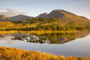 From Dublin: Connemara and Galway Full-Day Tour
