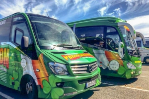 From Dublin: Connemara and Galway Full-Day Tour