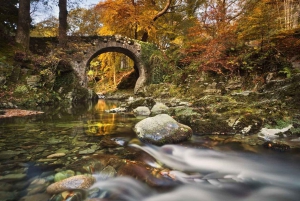 Da Dublino: Tour dei luoghi di Grande Inverno di Game of Thrones