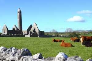 From Dublin: Guided Day Trip to Cliffs of Moher and Galway