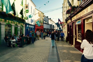 From Dublin: Guided Day Trip to Cliffs of Moher and Galway