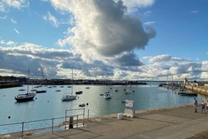 From Dublin: Half-Day Guided Coastal Tour to Howth Village