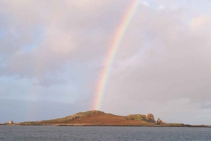 From Dublin: Half-Day Guided Coastal Tour to Howth Village