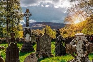 From Dublin: Half-Day Trip to Glendalough and Wicklow