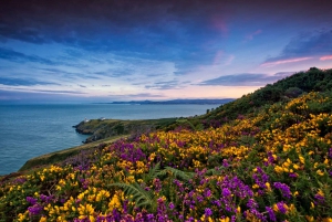 From Dublin: Howth Coastal Half-Day Bus Tour with Live Guide