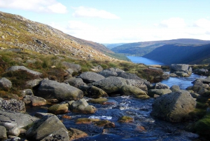 From Dublin: Wicklow Mountains, Glendalough, & Kilkenny Tour