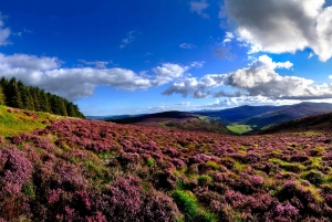 From Dublin: Wicklow Mountains, Glendalough, & Kilkenny Tour