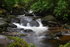 Ireland: 2 Day Wild Atlantic Way Tour