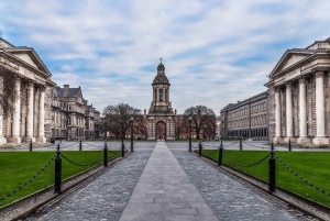 Dublin: St Patrick's, Book of Kells, and Dublin Castle Tour