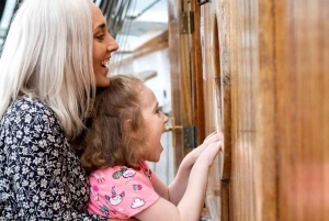 Dublin: Jeanie Johnston Tall Ship Irish Famine History Tour