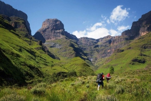 Visite d'une jounée du Drakensberg au départ de Durban plus randonnée