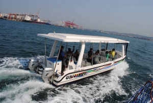 Durban: 1-Hour Boat Cruise from Wilson's Wharf