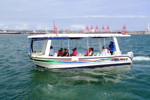 Durban: 1-Hour Boat Cruise from Wilson's Wharf
