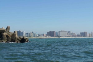 Durban: 1-Hour Boat Cruise from Wilson's Wharf