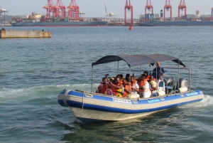 Durban: 1-Hour Boat Cruise from Wilson's Wharf