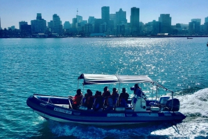 Durban: 1-Hour Boat Cruise from Wilson's Wharf