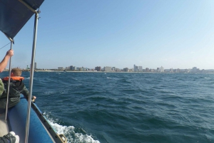 Durban: 1-Hour Boat Cruise from Wilson's Wharf