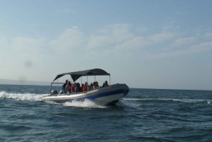 Durban: 1-Hour Boat Cruise from Wilson's Wharf