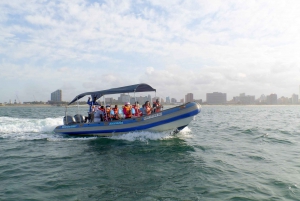 Durban: 1-Hour Boat Cruise from Wilson's Wharf