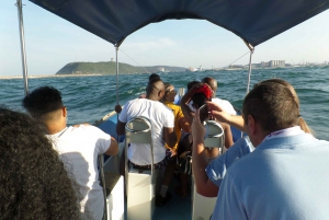 Durban: 1-Hour Boat Cruise from Wilson's Wharf