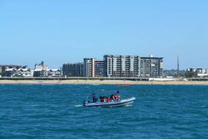 Durban: 1-Hour Boat Cruise from Wilson's Wharf