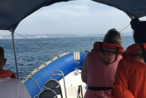 Durban: 1-Hour Boat Cruise from Wilson's Wharf