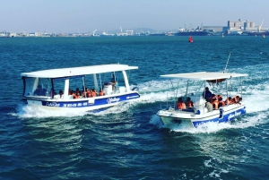 Durban: 1-Hour Boat Cruise from Wilson's Wharf