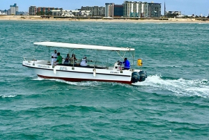 Durban: 1-Hour Boat Cruise from Wilson's Wharf