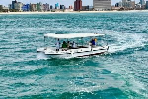 Durban: 1-Hour Boat Cruise from Wilson's Wharf