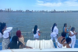 Durban: 1-Hour Boat Cruise from Wilson's Wharf