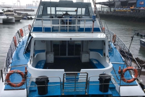 Durban: 1-Hour Boat Cruise from Wilson's Wharf