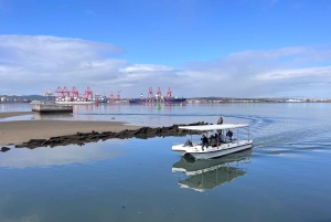 Durban: 1-Hour Boat Cruise from Wilson's Wharf