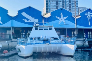 Durban: 1-Hour Boat Cruise from Wilson's Wharf