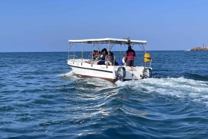 Durban: 1-Hour Boat Cruise from Wilson's Wharf