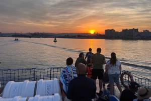 Durban: 1-Hour Boat Cruise from Wilson's Wharf