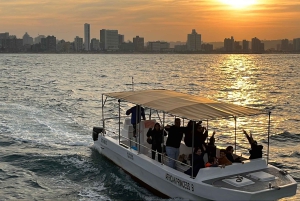 Durban: 1-Hour Boat Cruise from Wilson's Wharf