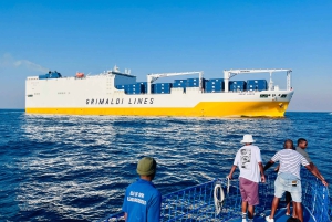 Durban: 1-Hour Boat Cruise from Wilson's Wharf