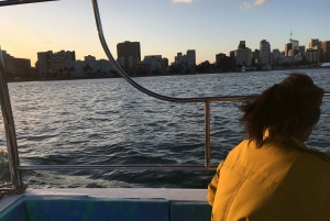 Durban: 30-Minute Harbor Boat Cruise